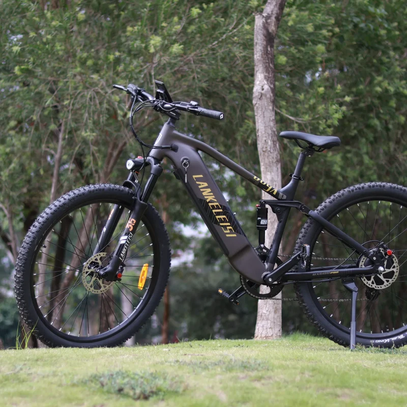 LANKELEISI RX600PRO