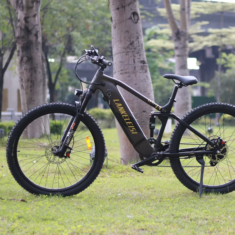 LANKELEISI RX600PRO