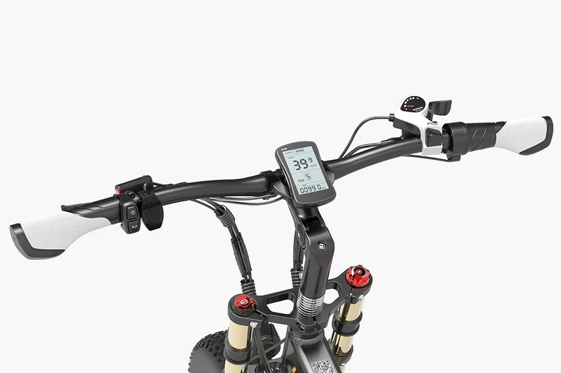 stuur voor Lankeleisi Bike