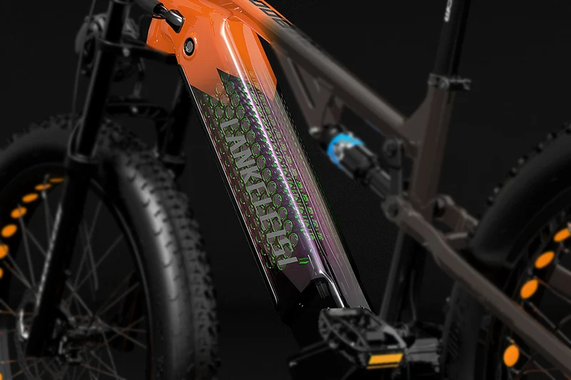 Batteria al litio / batteria agli ioni di litio speciale per bicicletta elettrica LANKELEISI