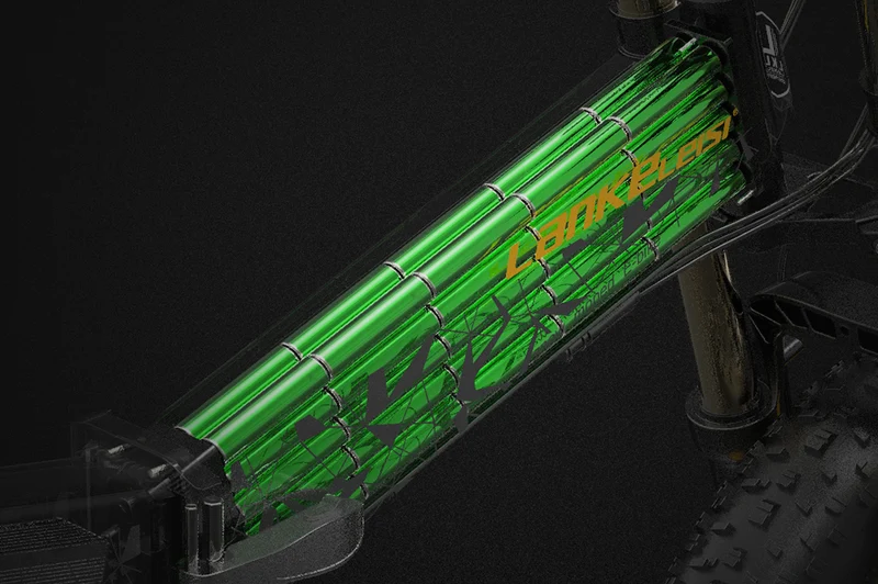 Batteria al litio / batteria agli ioni di litio speciale per bicicletta elettrica LANKELEISI