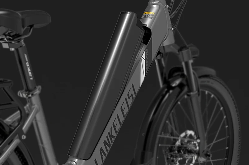 Batteria al litio / batteria agli ioni di litio speciale per bicicletta elettrica LANKELEISI