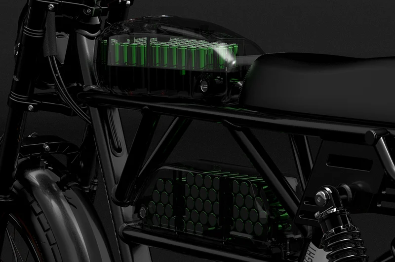 Batteria al litio / batteria agli ioni di litio speciale per bicicletta elettrica LANKELEISI