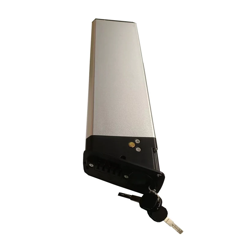 Batteria al litio / batteria agli ioni di litio speciale per bicicletta elettrica LANKELEISI