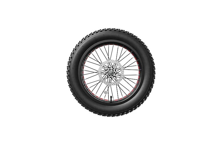 Voorwiel voor LANKELEISI elektrische fiets
