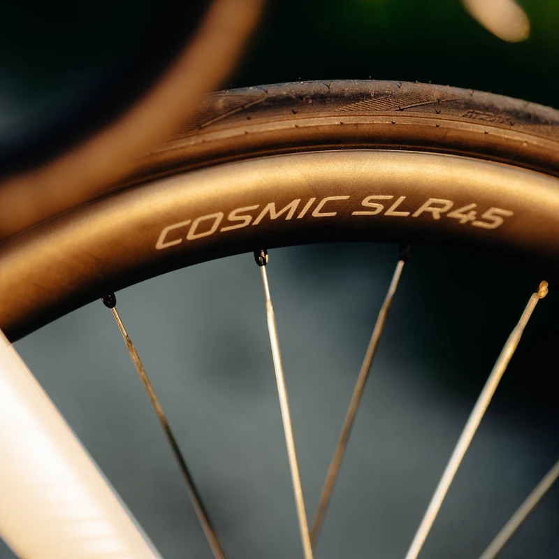 Ruote Mavic Cosmic SLR 45 Disc - Argento