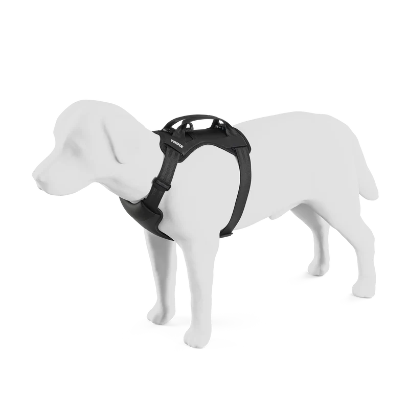 Thule Cappy 36cm - Nero