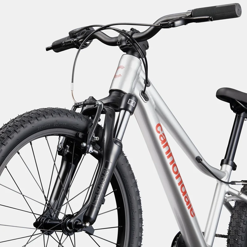 Cannondale Kids Trail 20 - Argento