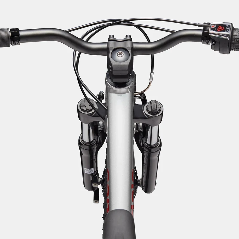 Cannondale Kids Trail 20 - Argento