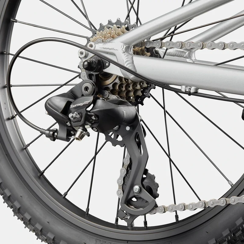 Cannondale Kids Trail 20 - Argento