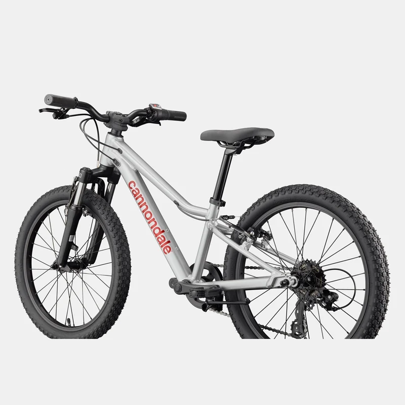 Cannondale Kids Trail 20 - Argento