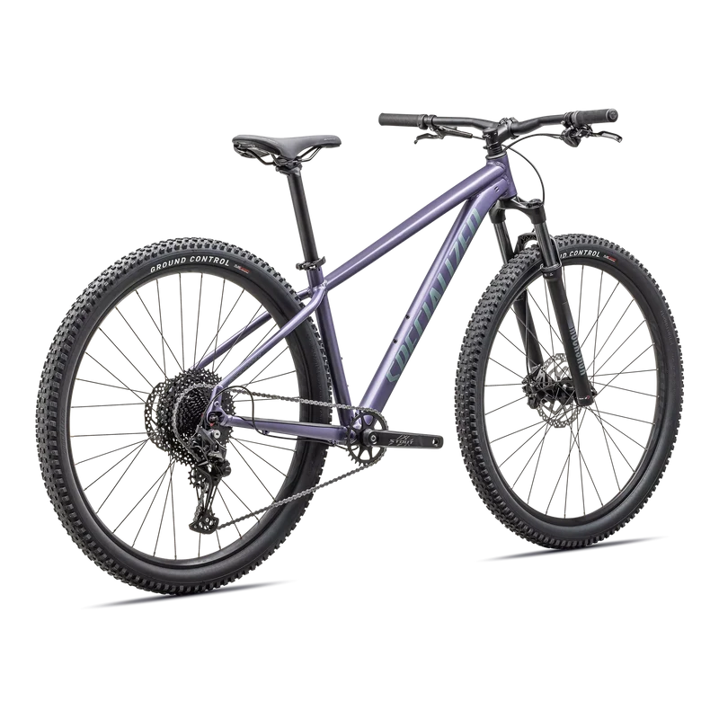 Specialized Rockhopper Comp - Viola
