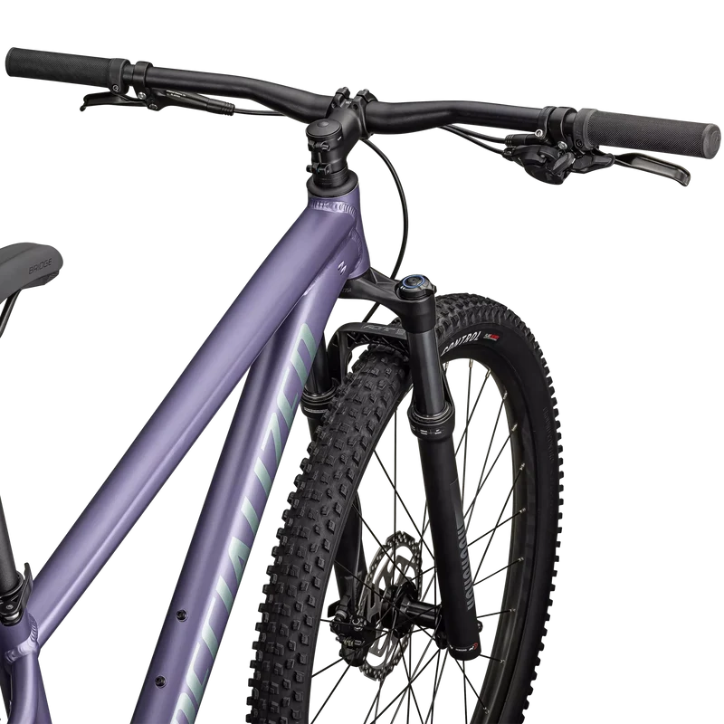 Specialized Rockhopper Comp - Viola