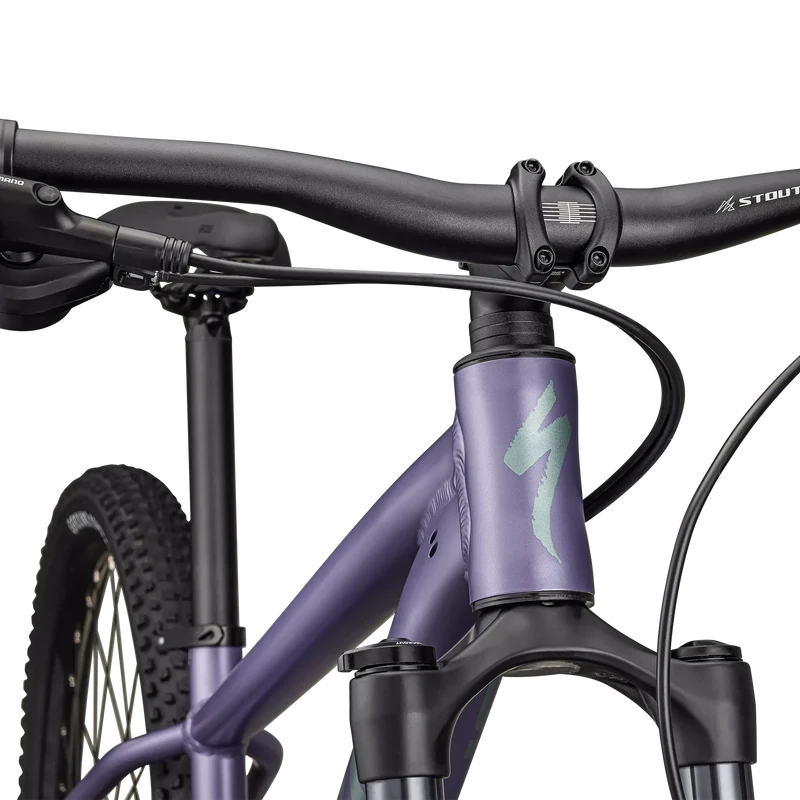 Specialized Rockhopper Comp - Viola