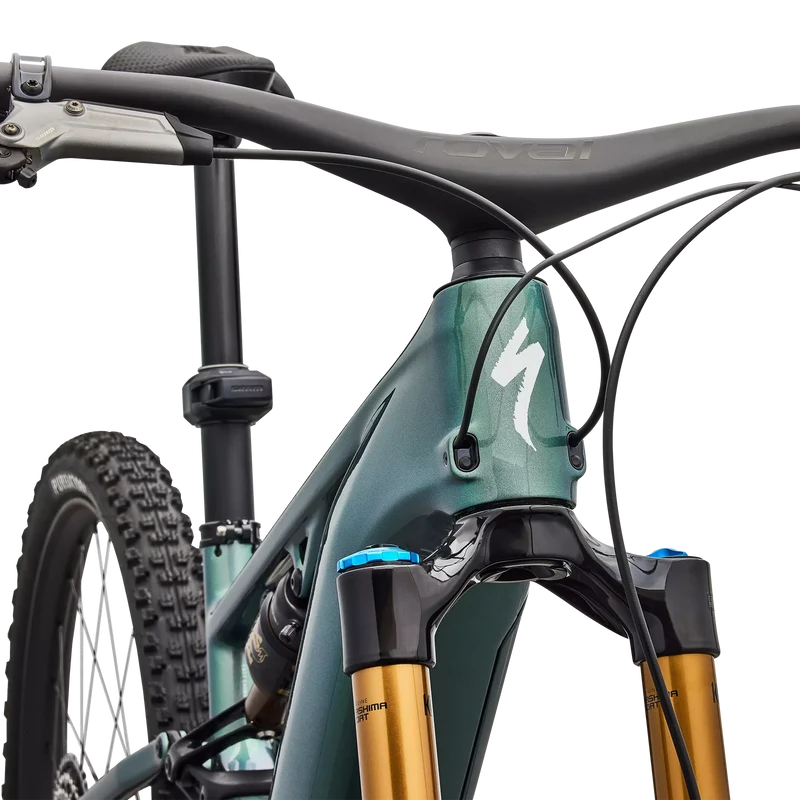 Specialized S-works Turbo Levo R - Verde
