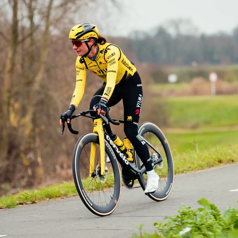 Gambali Team Visma Lease a bike 2026 Premium