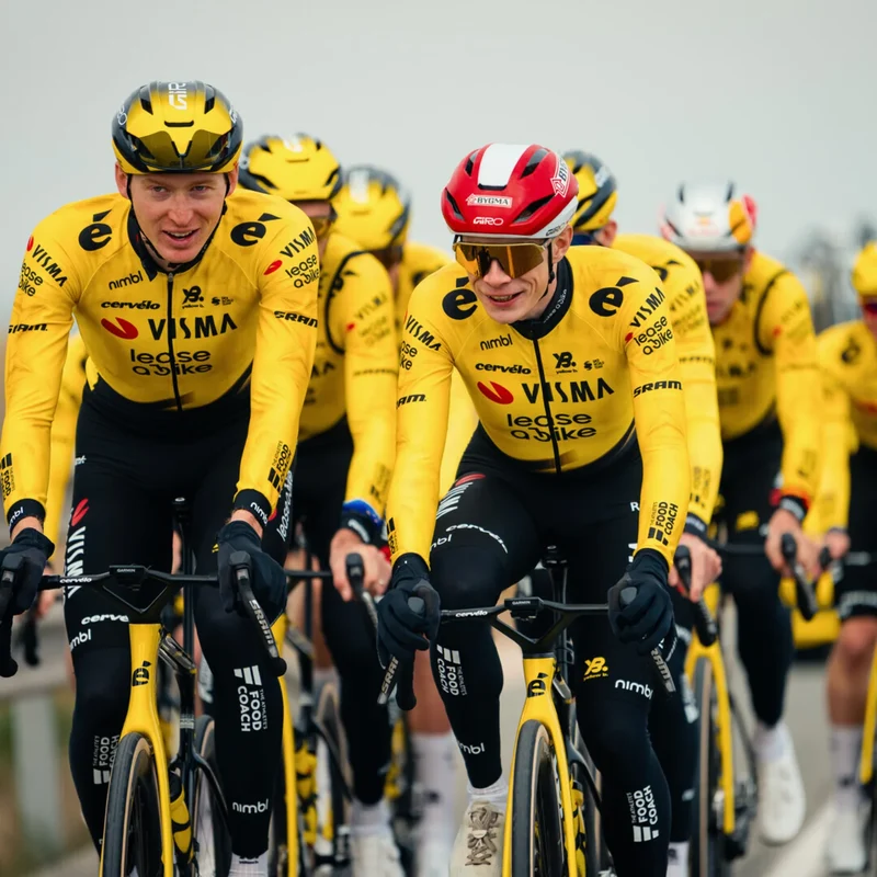Giacca Team Visma Lease a bike 2026