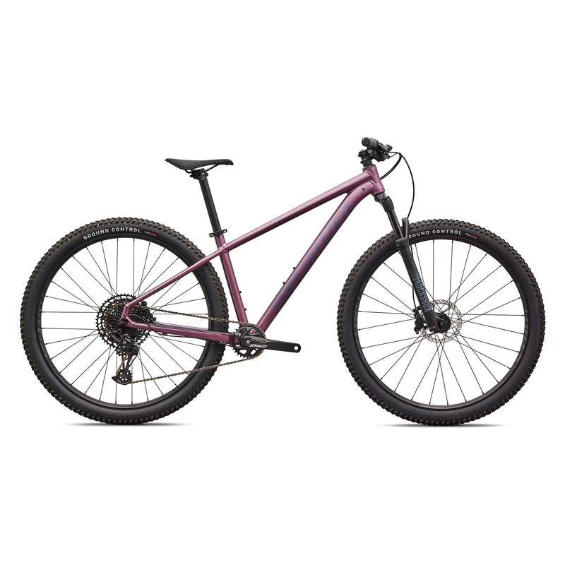 Specialized Rockhopper Expert 29 - Viola