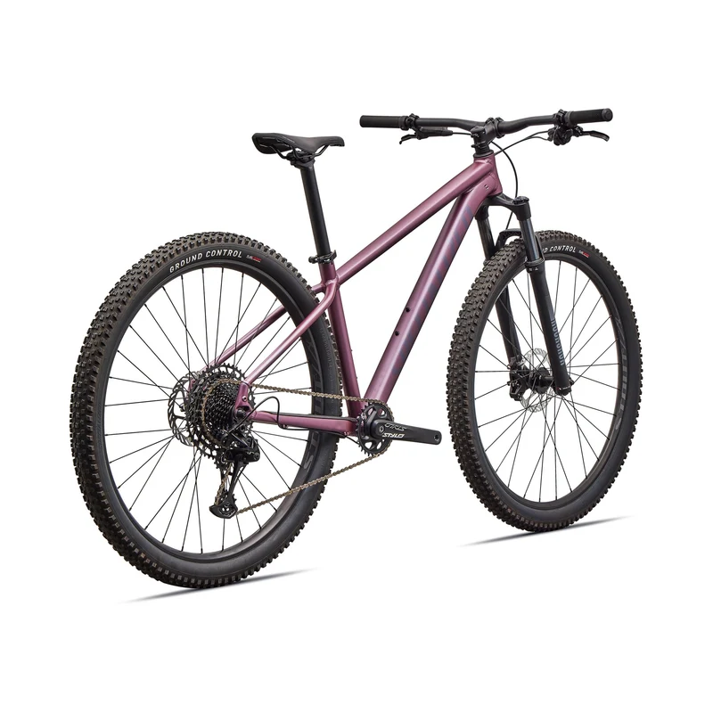 Specialized Rockhopper Expert 29 - Viola
