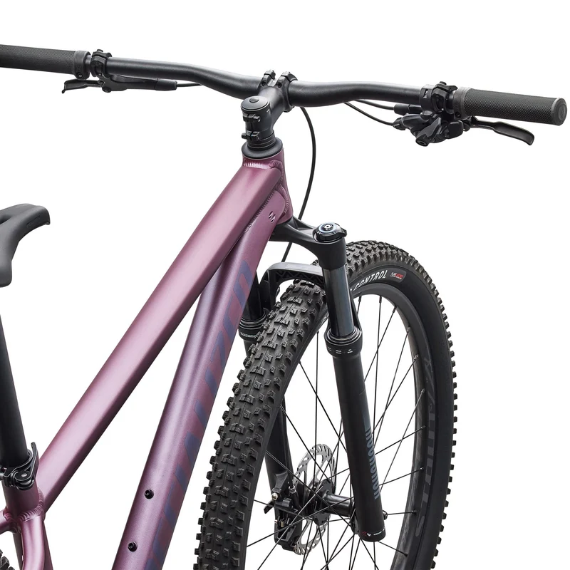 Specialized Rockhopper Expert 29 - Viola