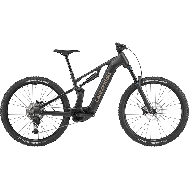 Cannondale Moterra 4 Plus - Grigio scuro