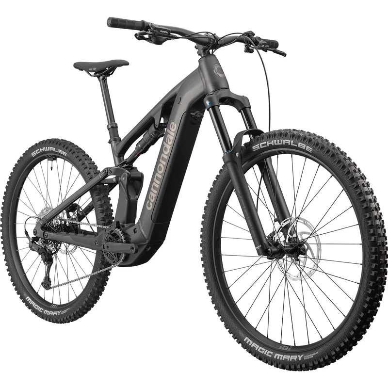 Cannondale Moterra 4 Plus - Grigio scuro