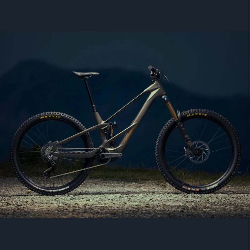 Orbea WILD LT M20 - Marrone