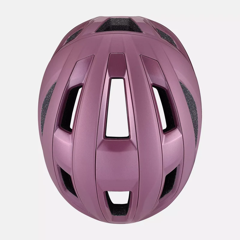 Casco Specialized Search - Viola
