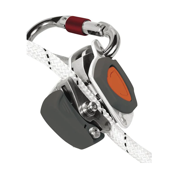 CAMELEON AN066