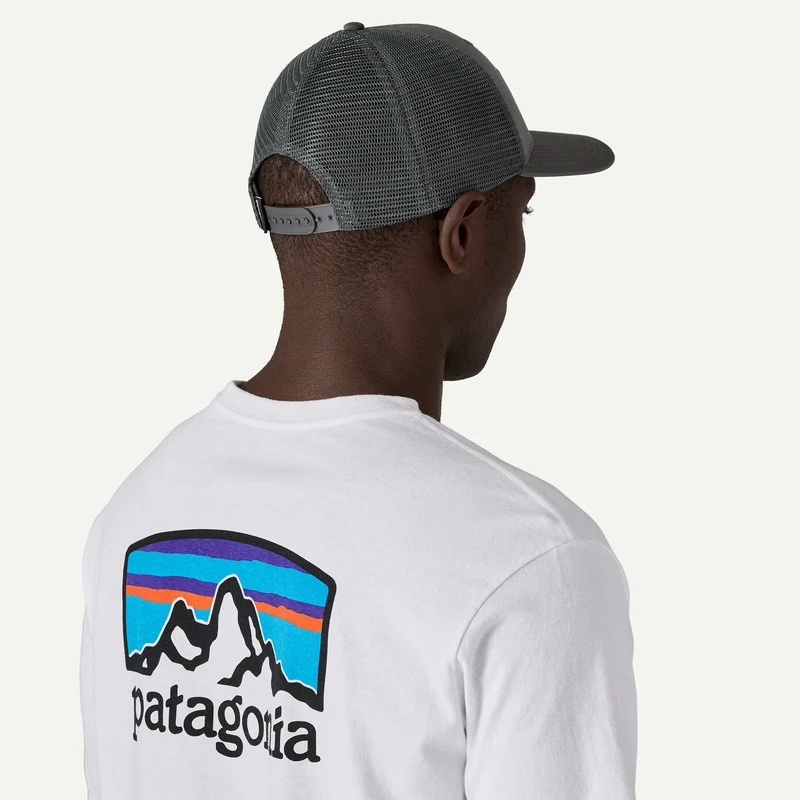 Cappellino Patagonia P-6 Logo Trucker - Grigio