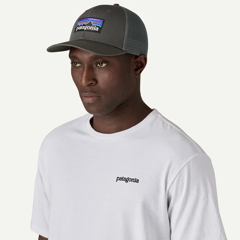 Cappellino Patagonia P-6 Logo Trucker - Grigio
