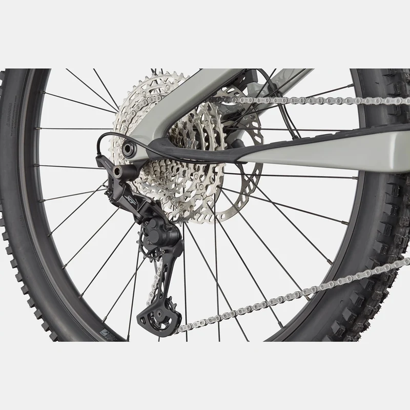 Cannondale Moterra Neo Carbon SL 2 - Grigio