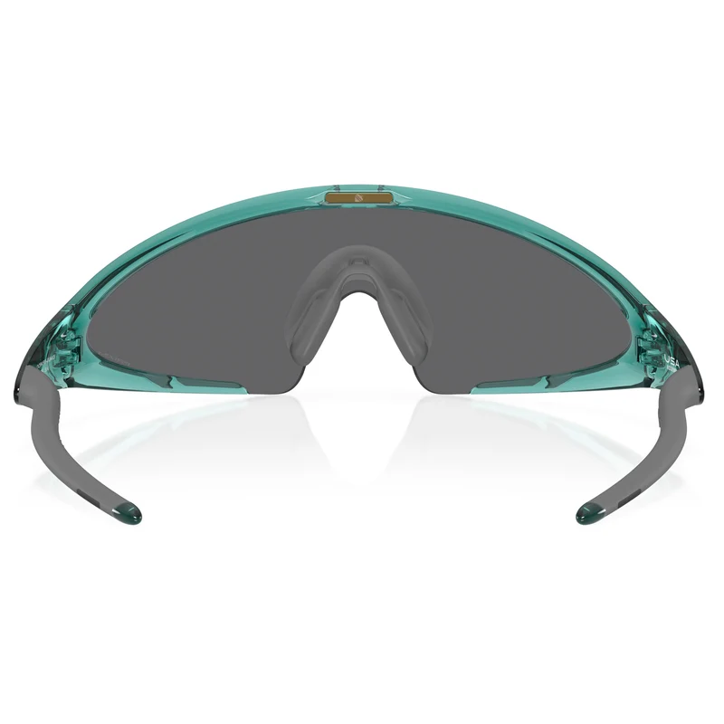 Occhiali Oakley Ellipse - Trans Pacific Prizm Black