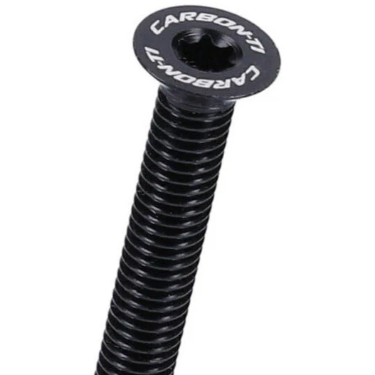 Vite di ricambio Carbon-Ti X-Cap TORX Logo - Nero