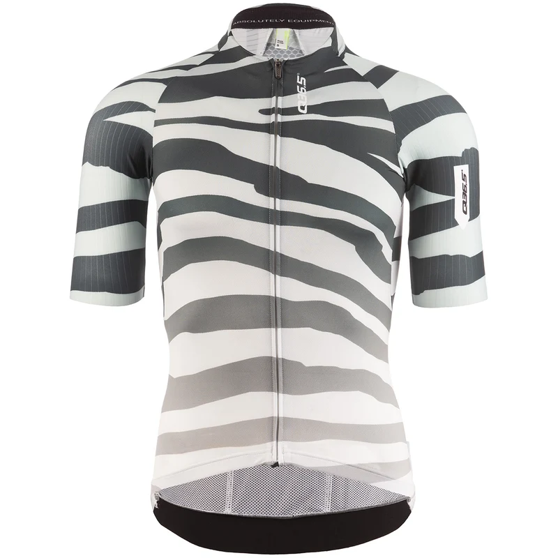 Maglia Q36.5 R2 Tiger - Grigio