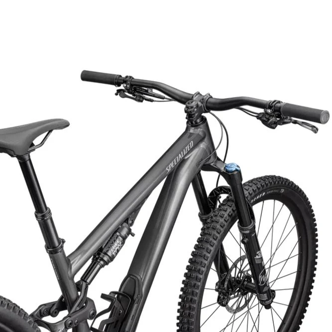 Specialized Stumpjumper 15 Comp Alloy - Grigio