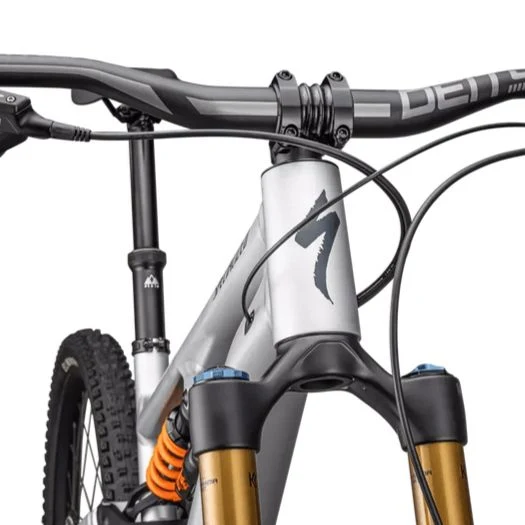 Specialized Stumpjumper 15 Fox Coil Alloy - Grigio