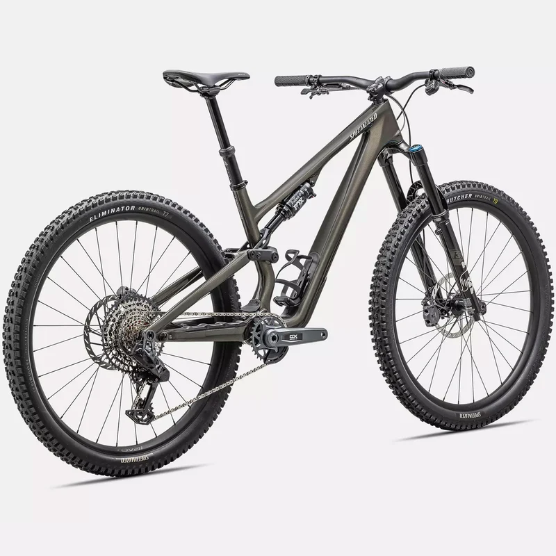 Specialized Stumpjumper 15 Expert - Grigio