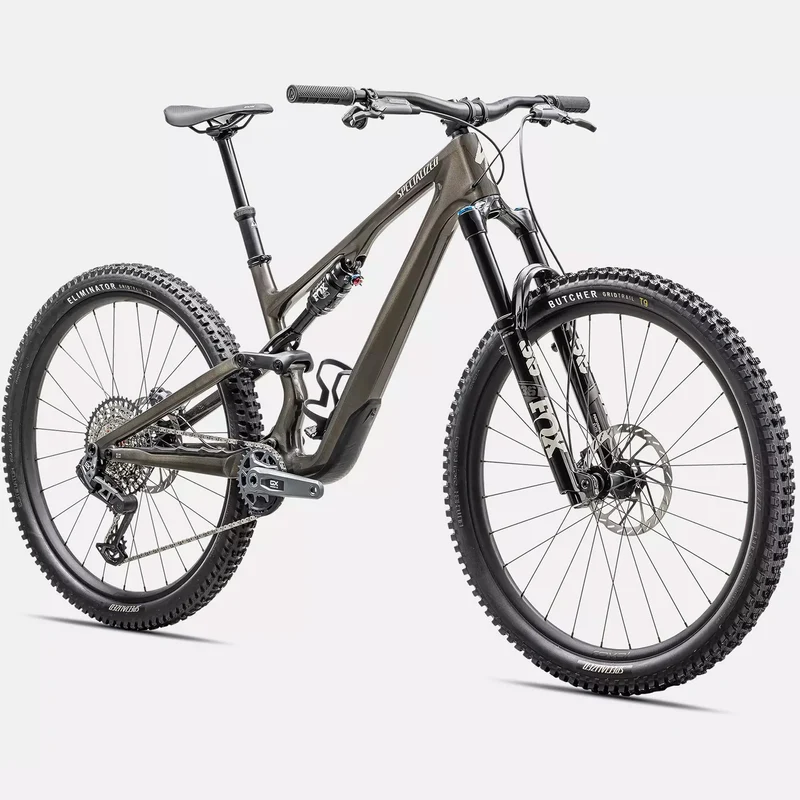 Specialized Stumpjumper 15 Expert - Grigio